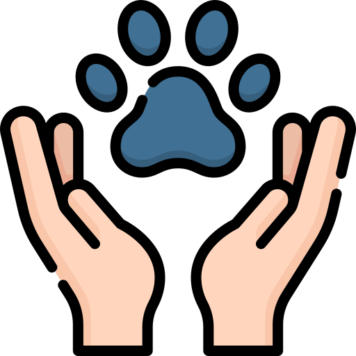 Animal Awareness